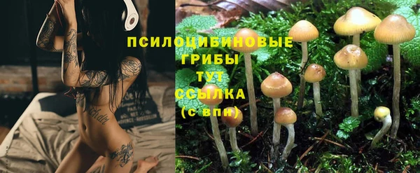прущие крисы Бронницы