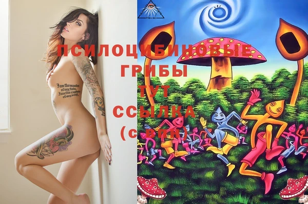 прущие крисы Бронницы