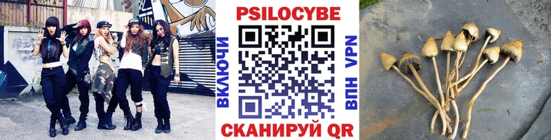 Псилоцибиновые грибы Psilocybine cubensis  где найти наркотики  Люберцы 